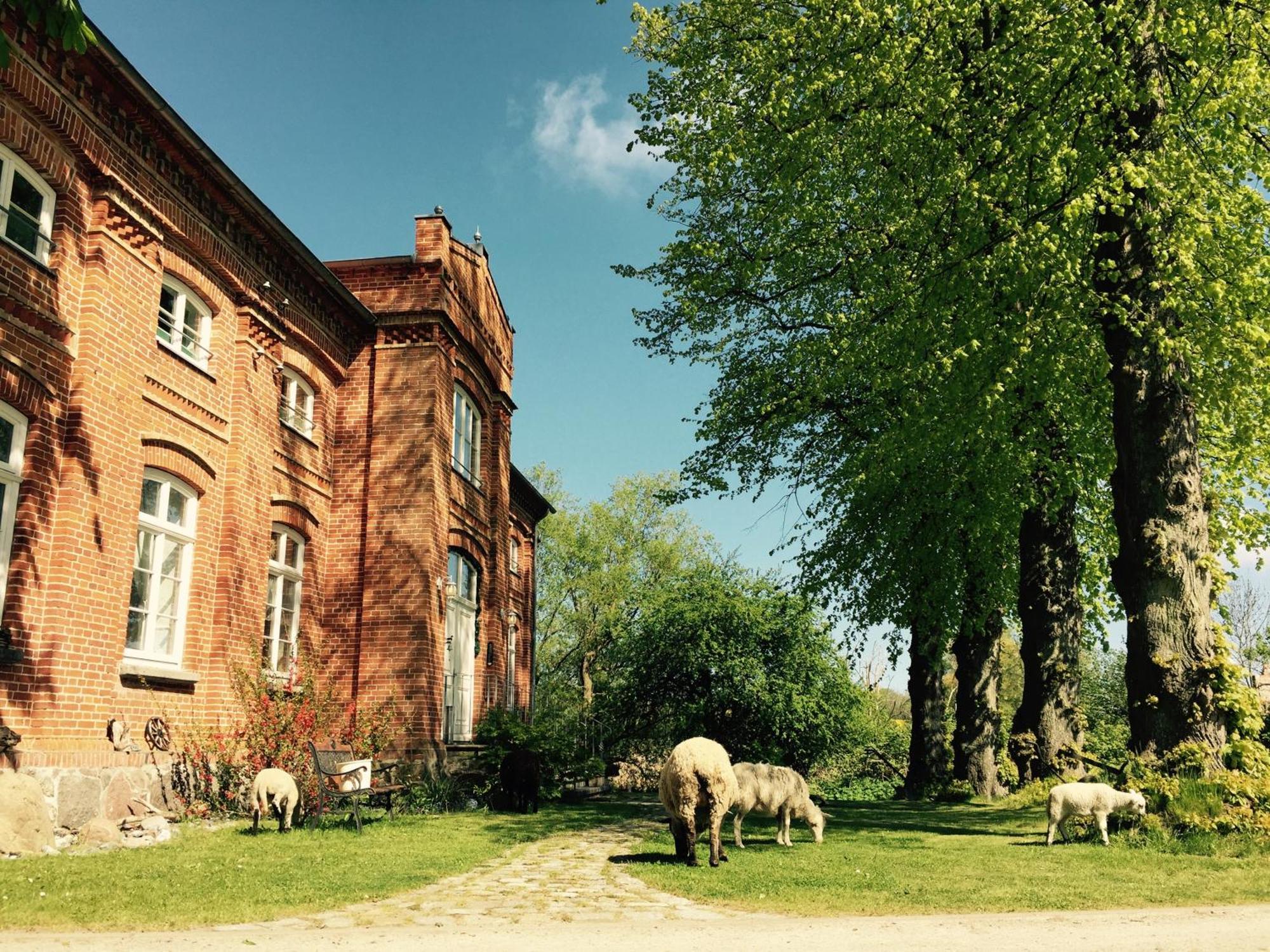 Gutshof Dubnitz - Ferienwohnung 1 "Carlo" Sassnitz Exteriér fotografie